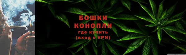 PSILOCYBIN Абаза