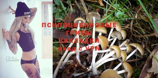 PSILOCYBIN Абаза
