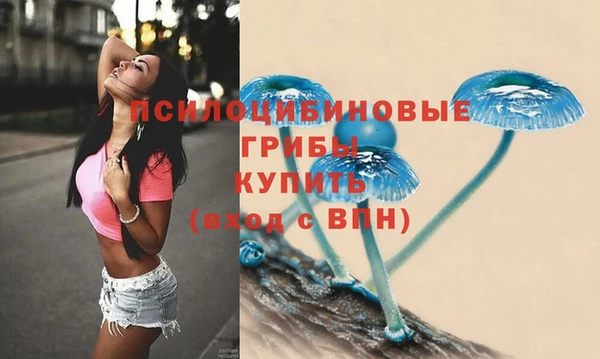 МДПВ Абинск