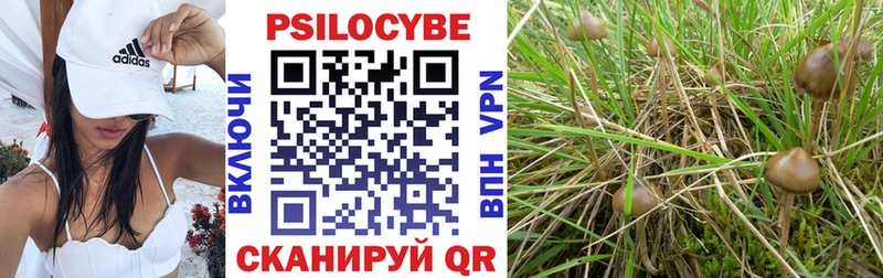 Псилоцибиновые грибы Psilocybine cubensis  как найти наркотики  Дербент 